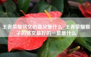 王者荣耀铭文的意义是什么_王者荣耀猴子的铭文最好的一套是什么
