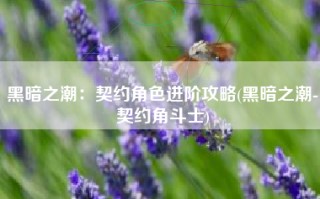 黑暗之潮：契约角色进阶攻略(黑暗之潮-契约角斗士)