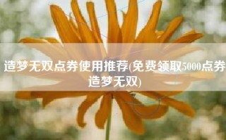 造梦无双点券使用推荐(免费领取5000点券造梦无双)