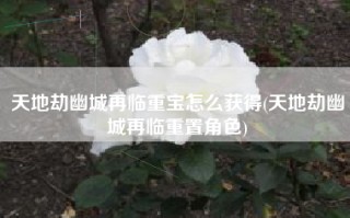 天地劫幽城再临重宝怎么获得(天地劫幽城再临重置角色)