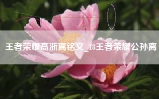 王者荣耀高浙离铭文_18王者荣耀公孙离