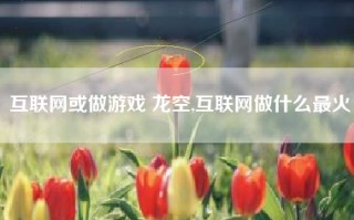 互联网或做游戏 龙空,互联网做什么最火