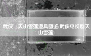 武侠乂天山雪莲道具图鉴(武侠电视剧天山雪莲)