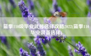 蓝拳110级毕业武器选择攻略2022(蓝拳110毕业装备选择)