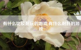 有什么比较耐玩的游戏,有什么耐肝的游戏