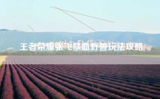 王者荣耀张飞禁血野兽玩法攻略