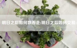 明日之后如何飘着走(明日之后如何交易)