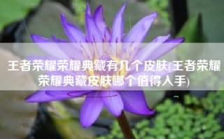 王者荣耀荣耀典藏有几个皮肤(王者荣耀荣耀典藏皮肤哪个值得入手)