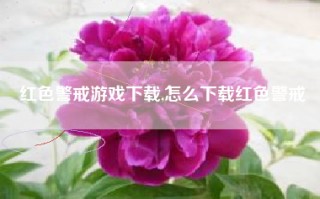 红色警戒游戏下载,怎么下载红色警戒