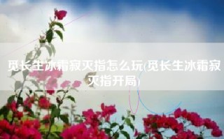 觅长生冰霜寂灭指怎么玩(觅长生冰霜寂灭指开局)