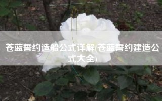 苍蓝誓约造船公式详解(苍蓝誓约建造公式大全)
