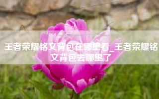 王者荣耀铭文背包在哪里看_王者荣耀铭文背包去哪里了