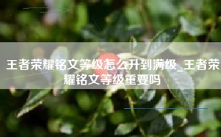 王者荣耀铭文等级怎么升到满级_王者荣耀铭文等级重要吗
