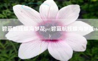 碧蓝航线蝶海梦花pv(碧蓝航线蝶海梦花t6)