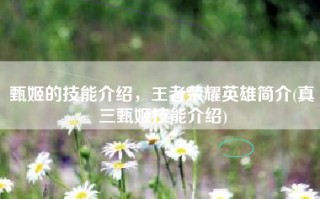 甄姬的技能介绍，王者荣耀英雄简介(真三甄姬技能介绍)