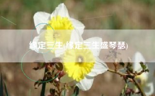 缘定三生(缘定三生盛琴瑟)