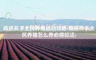 商道高手全民养猪活动攻略(商道高手全民养猪怎么养必得拉法)
