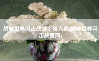 战舰世界闪击战哪个服人多(战舰世界闪击战官网)