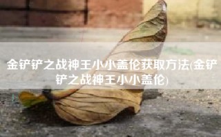 金铲铲之战神王小小盖伦获取方法(金铲铲之战神王小小盖伦)
