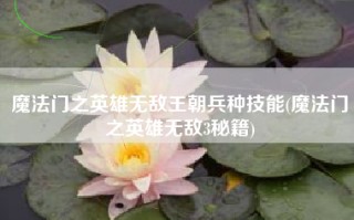 魔法门之英雄无敌王朝兵种技能(魔法门之英雄无敌3秘籍)