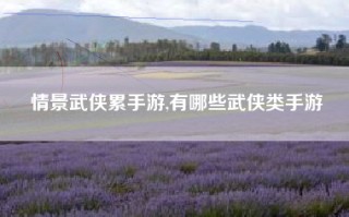 情景武侠累手游,有哪些武侠类手游