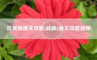 花视频通关攻略(战神2通关攻略视频)