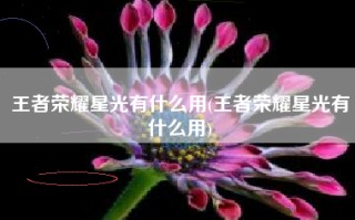 王者荣耀星光有什么用(王者荣耀星光有什么用)