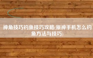 神角技巧钓鱼技巧攻略(原神手机怎么钓鱼方法与技巧)