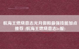 航海王燃烧意志光月御殿最强技能加点推荐 (航海王燃烧意志bt服)