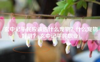 玄中记平民应该选什么宠物？什么宠物好用？(玄中记平民职业)