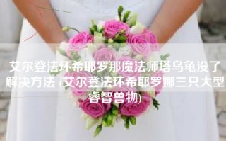 艾尔登法环希耶罗那魔法师塔乌龟没了解决方法 (艾尔登法环希耶罗娜三只大型睿智兽物)