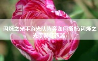 闪烁之光手游光队阵容如何搭配(闪烁之光手游修改器)
