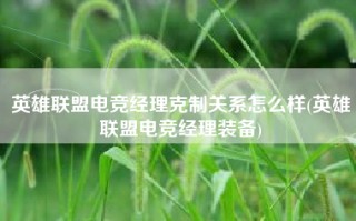 英雄联盟电竞经理克制关系怎么样(英雄联盟电竞经理装备)
