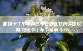 跑跑卡丁车手游筋斗云属性获得评测攻略(跑跑卡丁车手游筋斗云)