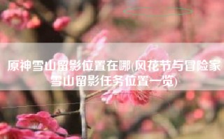 原神雪山留影位置在哪(风花节与冒险家雪山留影任务位置一览)
