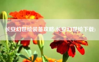 长安幻世绘装备攻略(长安幻世绘下载)