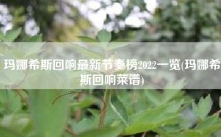玛娜希斯回响最新节奏榜2022一览(玛娜希斯回响菜谱)