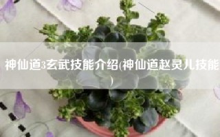 神仙道3玄武技能介绍(神仙道赵灵儿技能)