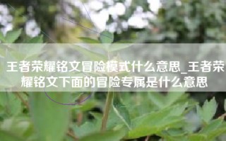 王者荣耀铭文冒险模式什么意思_王者荣耀铭文下面的冒险专属是什么意思