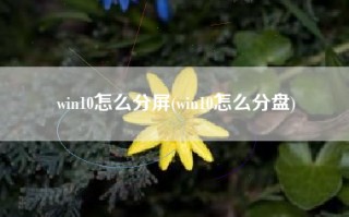 win10怎么分屏(win10怎么分盘)