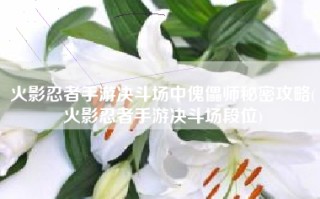 火影忍者手游决斗场中傀儡师秘密攻略(火影忍者手游决斗场段位)