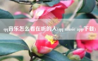 qq音乐怎么看在听的人(qq music app下载)