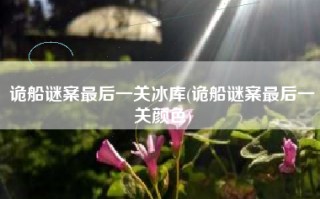 诡船谜案最后一关冰库(诡船谜案最后一关颜色)