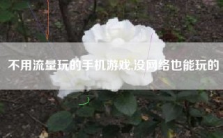 不用流量玩的手机游戏,没网络也能玩的