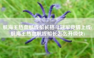 航海王热血航线船长格斗冠军竞猜上线(航海王热血航线船长怎么升级快)