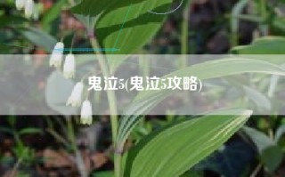 鬼泣5(鬼泣5攻略)