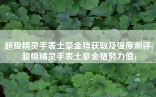 超级精灵手表土豪金猪获取及强度测评(超级精灵手表土豪金猪努力值)