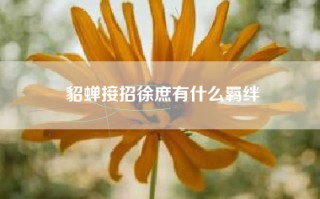 貂蝉接招徐庶有什么羁绊