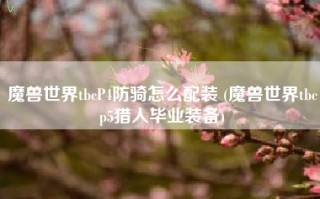 魔兽世界tbcP4防骑怎么配装 (魔兽世界tbcp5猎人毕业装备)