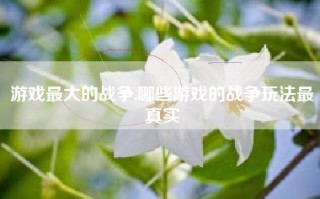 游戏最大的战争,哪些游戏的战争玩法最真实